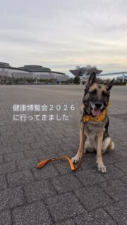 健康博覧会に行ってきました。

インテリアや建築の見本市には何度も行っていますが、
“健康”がテーマの展示会は初めて。

まずは、お世話になっている
ベレンクラフト様のブースへ。
サロンでも使用しているレヨコンプの展示。

その後は、会場をぐるっと見学。

特に賑わっていたのが
ベジタリアン＆ヴィーガンコーナー。

実は私もヴィーガン志向。
最先端の植物性食品を試食してきました。

中でも驚いたのが
「MAGI DASHI」。

植物性100％なのに、
どう考えても“カツオ風味”。

白だしやめんつゆも、
動物性不使用とは気づかないレベル。
プロ向け商品ですが、一般購入も可能とのこと。

そして今や外せないテーマ、腸活。

数多くの腸内ケア商品が並ぶ中で
気になったのが「Mykinso」。

便を送るだけで、
自分の腸内フローラを可視化。
さらに、食事アドバイスまで。

人によって合う食材は違う。
ごぼうが合う人もいれば、
ヨーグルトが合う人もいる。

“自分の腸を知る”という視点、
とても興味深いです。

今回は時間が足りませんでしたが、
来年はもっと深掘りしたい。

サロンのお客様にも、
本当に使える情報だけを届けたいと思います。

#健康博覧会
#腸活
#レヨコンプ
#Mykinso
#予防ケア