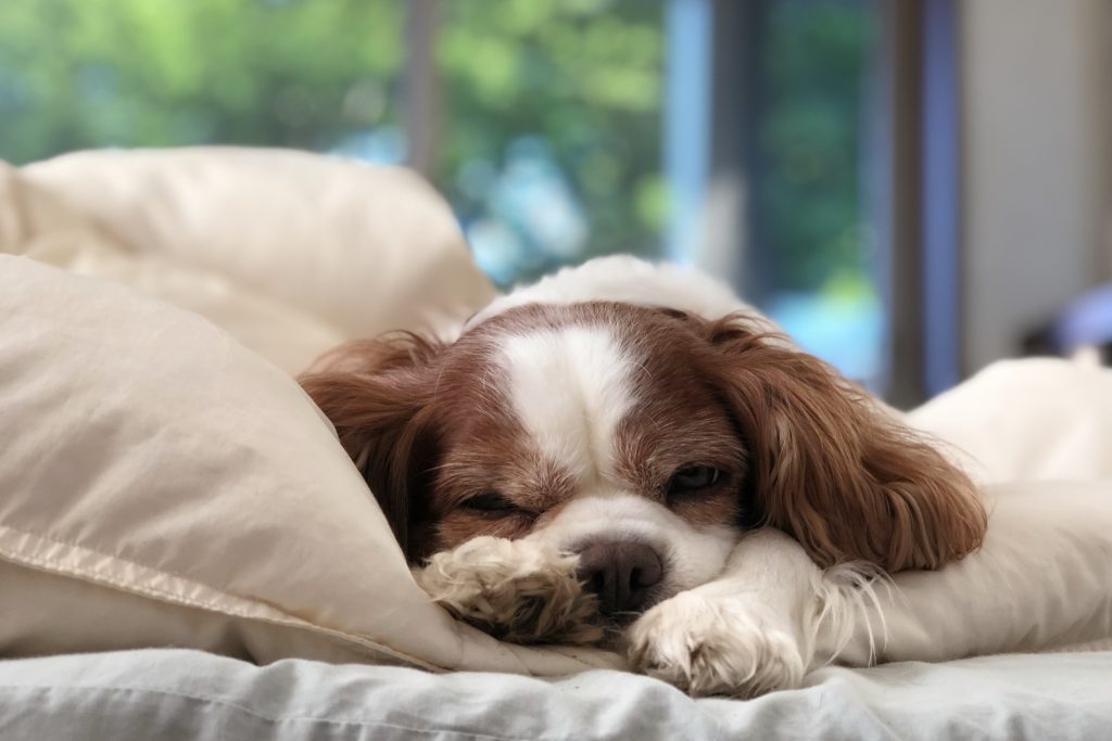 サービスメニューにお誘いする優京