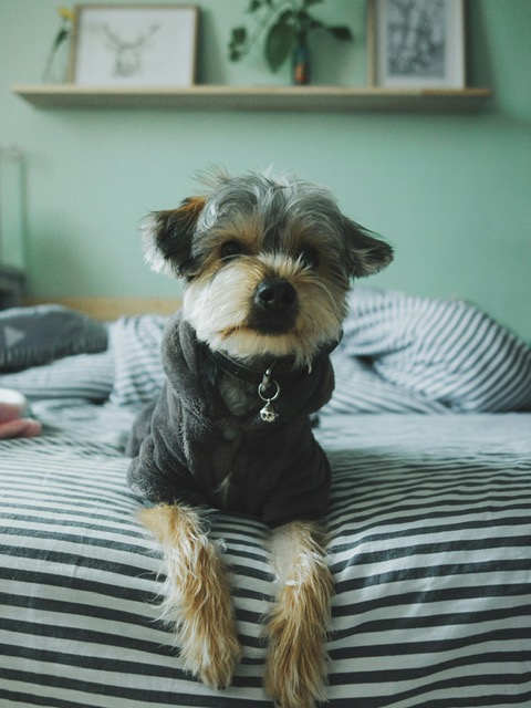 相談室へご招待