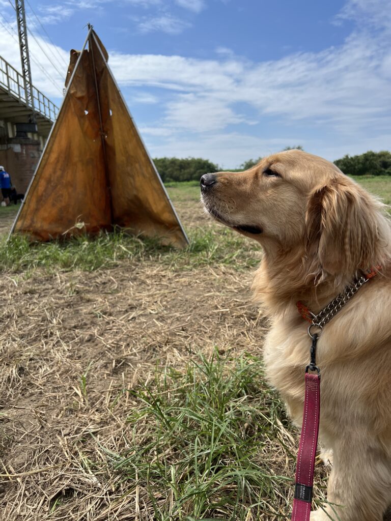 防衛のテント前で