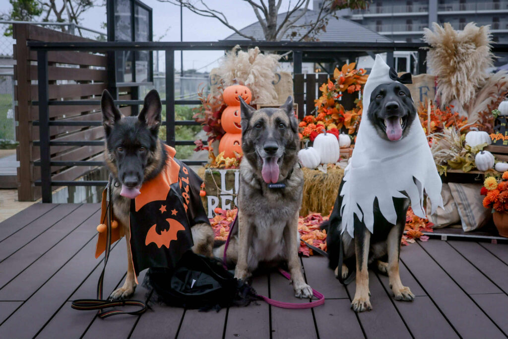 レア・リナ・ディン